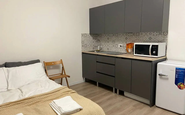 Квартира уютная студия