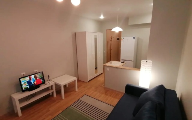 Comfortable Studio Vladimir Apartments
