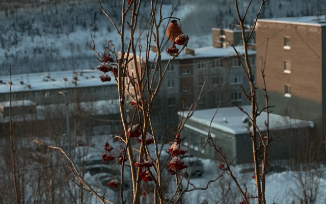 Квартира Уютная