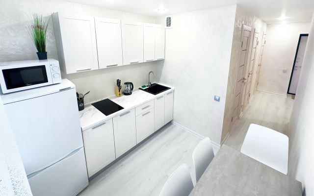 1-komn s krasivym vidom na Nemigu v centre Minska Apartments