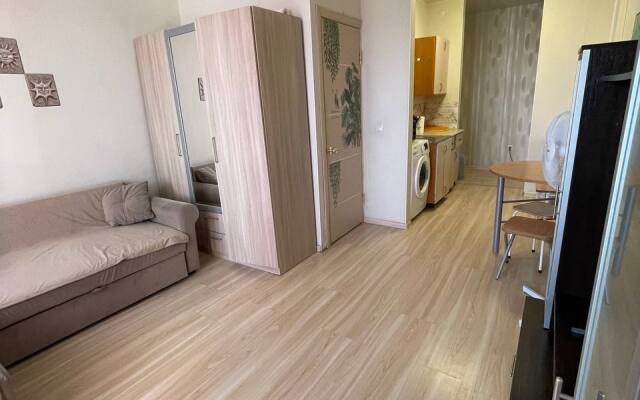 Studiya ryadom so Stolichnym rynkom g. Yakutska Flat