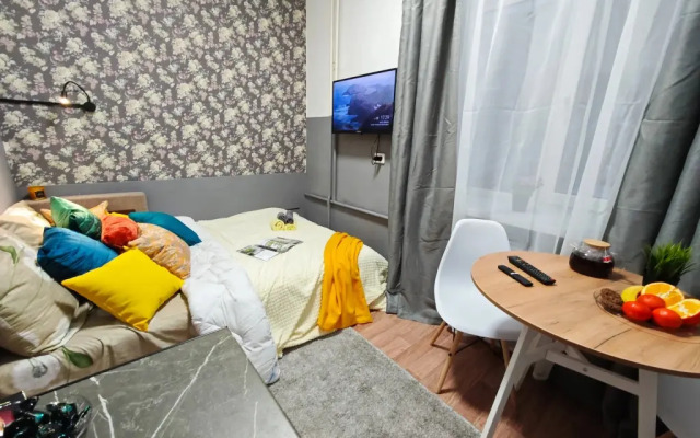 Квартира Диван и Чемодан на Фрунзе 14-2