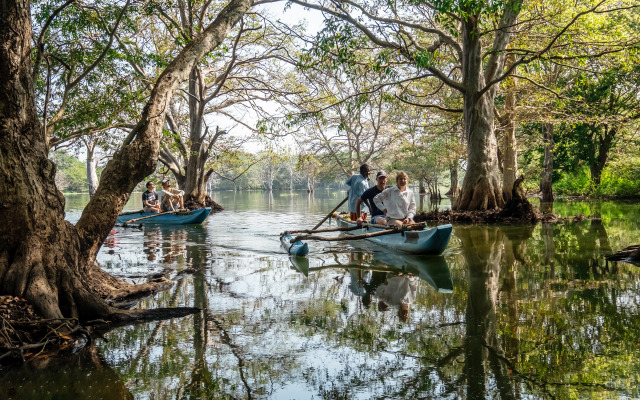 Banyan Camp