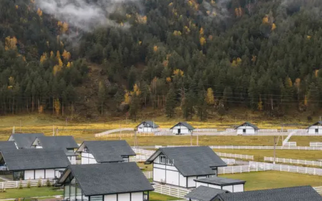 Отель Альпинс Residence