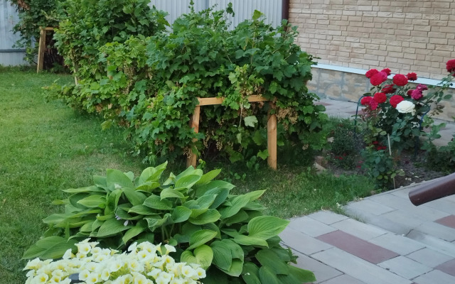 Частный Дом S Baney