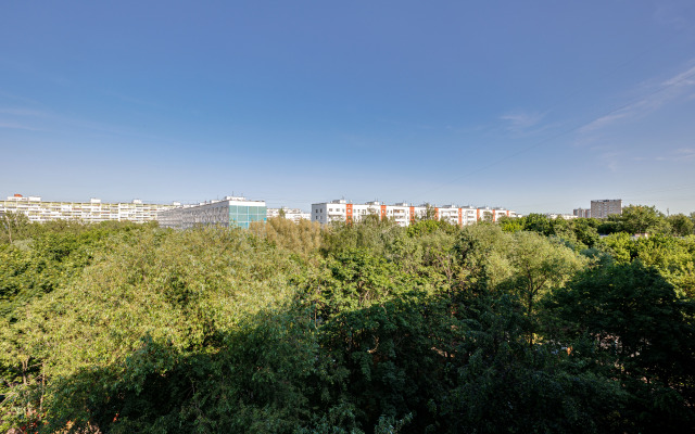 Svetlaya Okolo Parka Tsaritsyno Flat