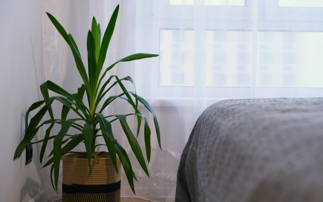 Апартаменты Soul 2к с Современным Стильным Интерьером в Новом ЖК