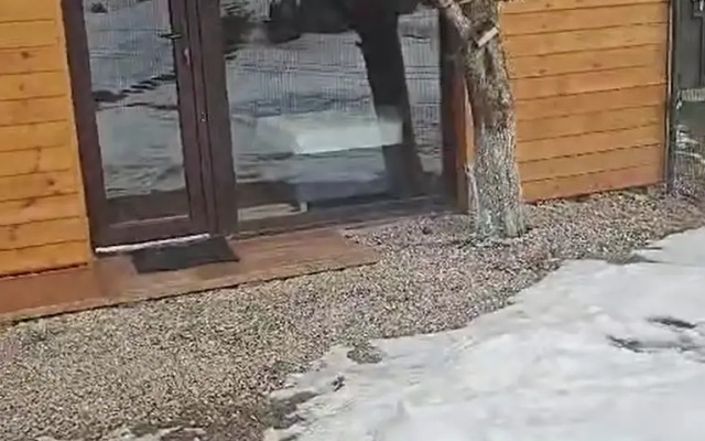 Гостевой дом Фруктовый сад