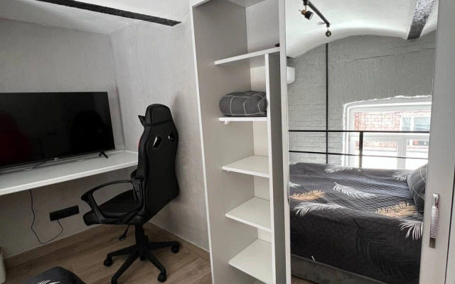 Apartamenty Uyutnaya studiya Grey Cat u Naberezhnoj reki Yauzy