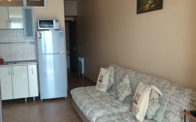 Апартаменты Премьера 9