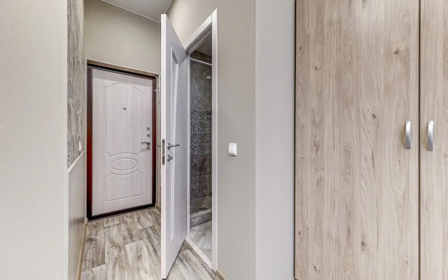 Апартаменты на Старорусской рядом с Московским вокзалом (СР2)