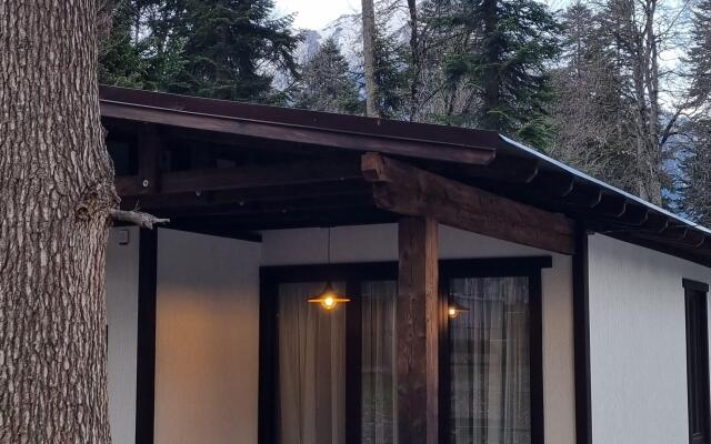 Dacha Apartments