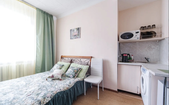 Zeleny Shelk Ryadom S Parkom V Tsentre Goroda Apartments