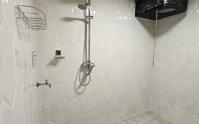 Частный дом большой