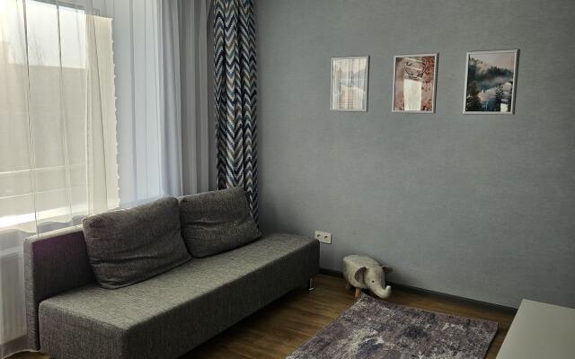Ostrovok Uyuta Ryadom S Parkom Ruskeala Apartments