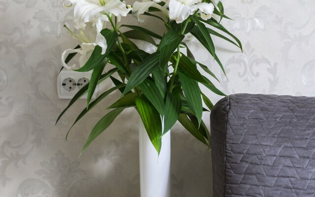 Апартаменты RentalSPb