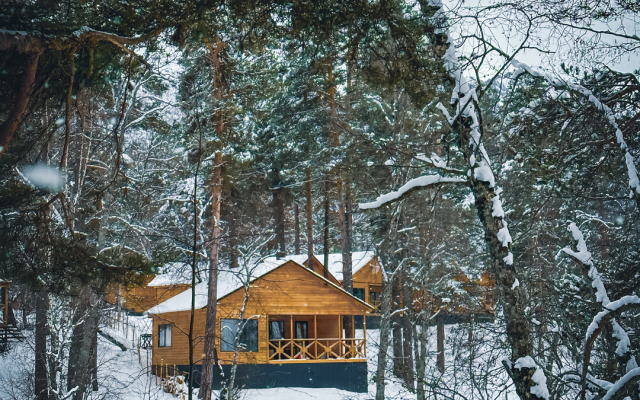 Khvoya trexkomnatnyi lyks Shalet