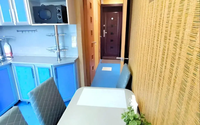 Uyutnaya Svetlaya v Tsentre Flat