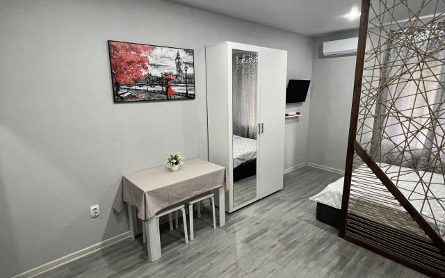 Studiya 22 Kv.m. Na Vidova  Flat