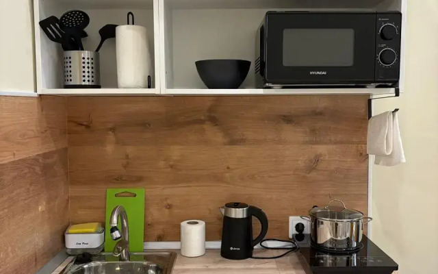 Апартаменты с ремонтом в центре города