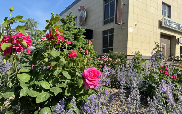 Отель Кокос