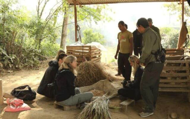 Кемпинг Tigertops Elephant Camp