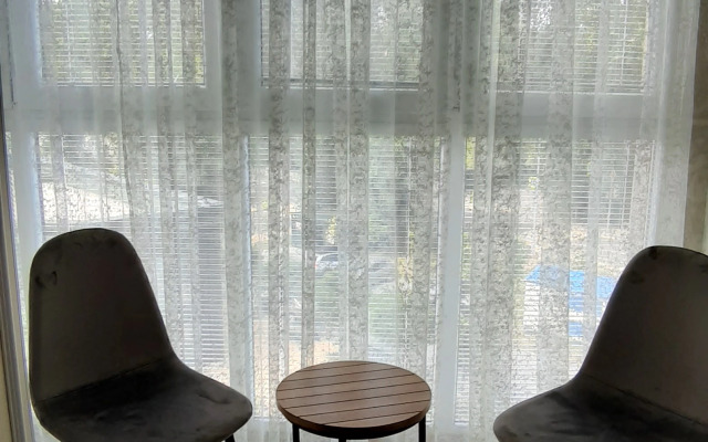 Zelenogradsk Flat