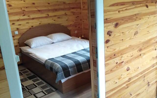 Апартаменты Olzhicha XXV