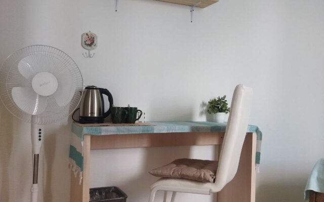 Mityaevsky guest house