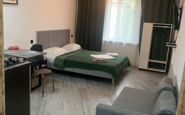 Apartamenty v Gagrah Private House