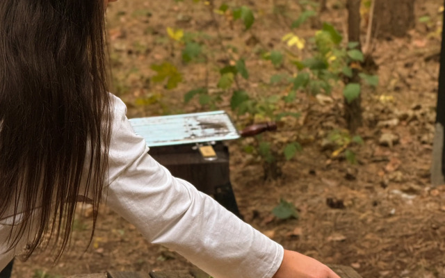 Глэмпинг Сосны