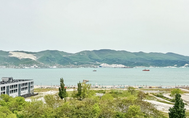 Апартаменты Квартира ЖК Суворовский