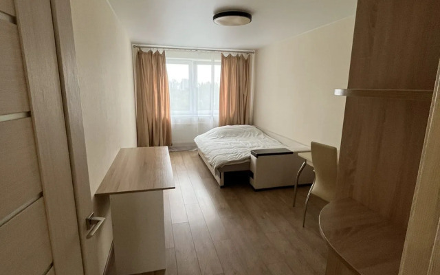 Uyutnye U Metro grushevka Apartment