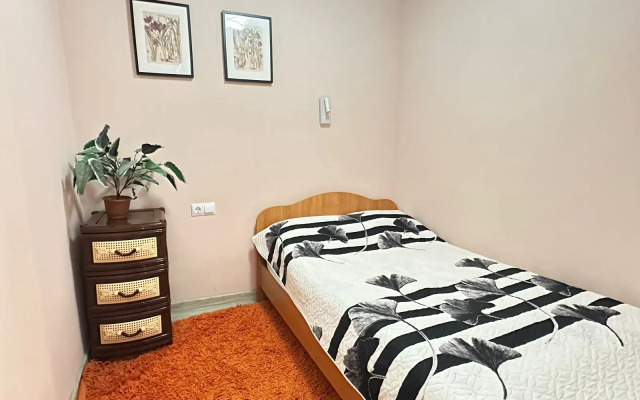 Dvukhkomnatnye V Tsentre Kazani Apartments