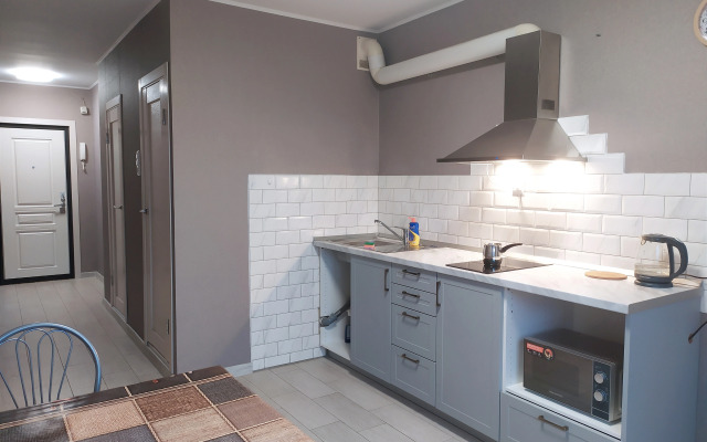 Квартира у Центра Алмазова Удельный пр.