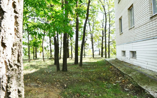 Гостевой дом База отдыха Аэропорт