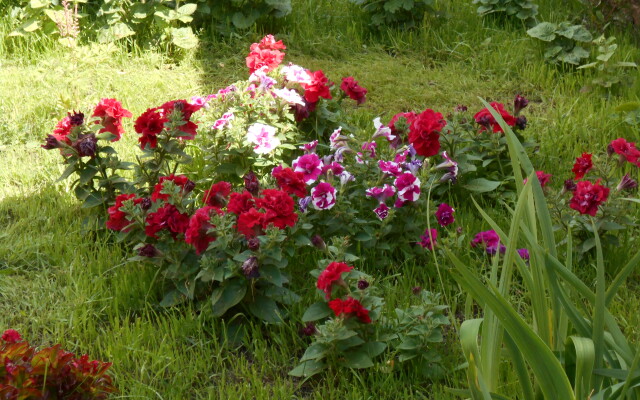 Гостевой дом Купеческий