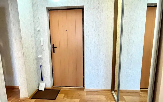 Квартира 1-комнатная улица Партизана Железняка 61