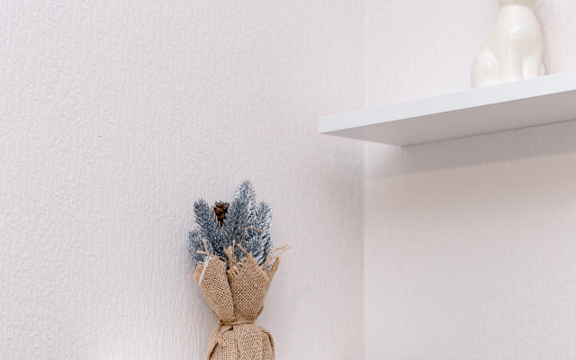 Квартира Студия Советская 62б