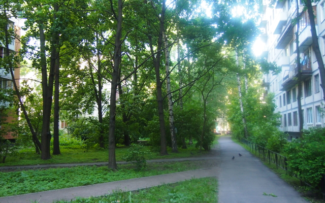 Apartments on ulitsa Vavilovykh