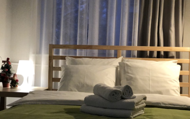 Two-room flat in the very center on Bolnichnaya 13