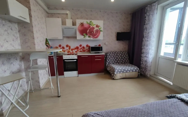 Квартира Студия на Проспекте Авиаторов Балтики 5