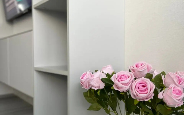 Апартаменты Премиум студия с панорамным видом на Ангару