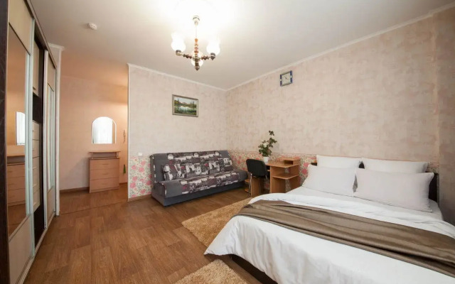 Квартира однокомнатная на Алексеева 47