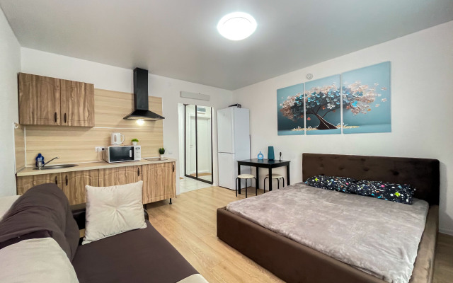 Kvartira-studiya, 30 m², 2/25 etazh Apartments