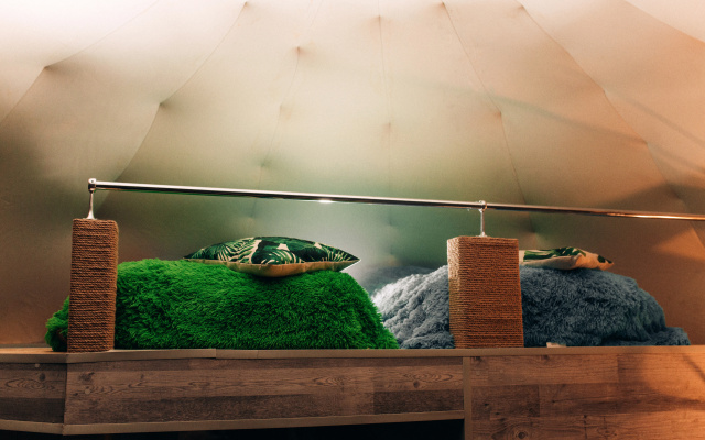 Comfort with Partial Lake View Quadruple Igloo (4 single beds) — фото 4