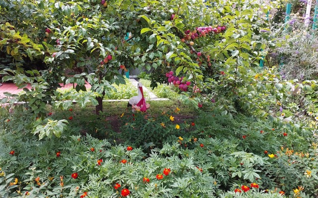 Otdykh U Alexandra Guest House