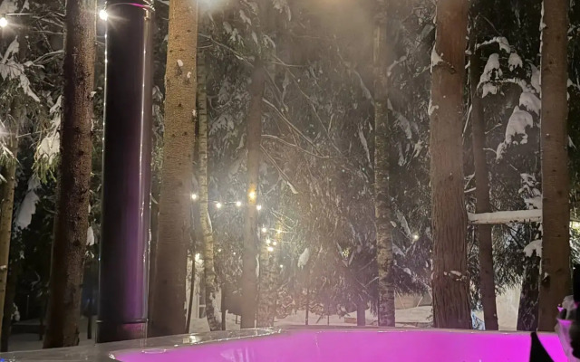 Частный дом Сфера в Лесу