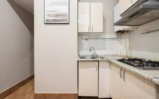 U Dvortsovoy ploschadi Apartments
