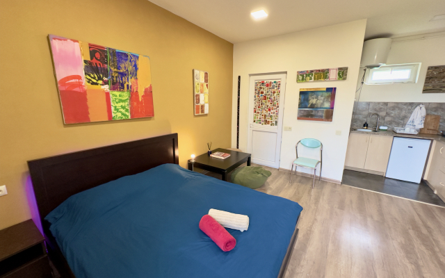 Cosy studio near center Apartments